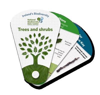 Ireland's Biodiversity: Trees & Shrubs