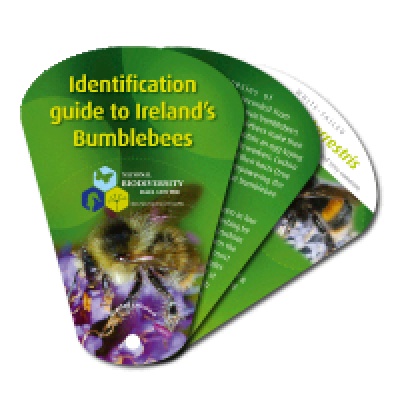 Ireland's Biodiversity: Bumblebees