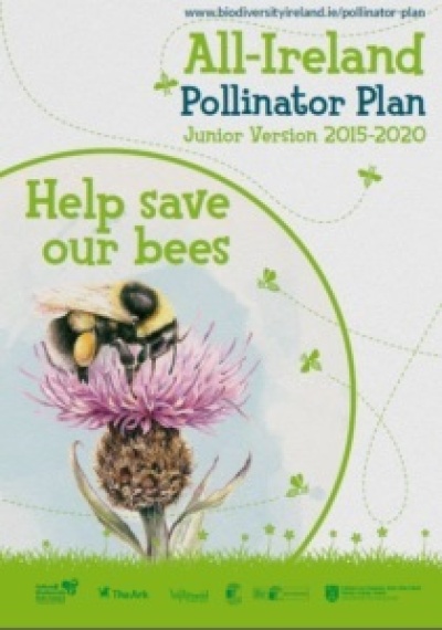 All-Ireland Pollinator Plan - Junior version