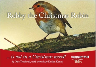 Robby the Christmas Robin ... is not in a Christmas mood!