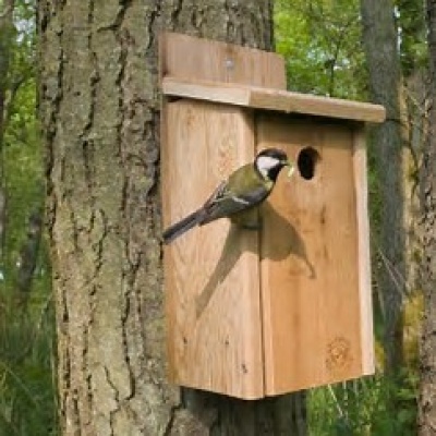 How to set up a nest box
