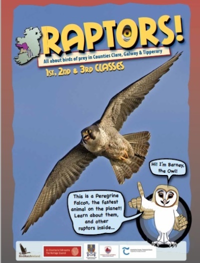 Barn Owls in Ireland - learning about raptors (video)
