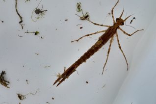 20220613 190419 20220613 190419