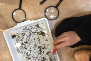 Lorraine O Sullivan 1 Lorraine O Sullivan 1