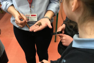 Lorraine O Sullivan 2 Lorraine O Sullivan 2