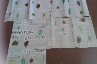 Shailagh Healy 5 Shailagh Healy 5