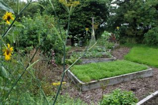 Aine Ni Flatharta 12 Aine Ni Flatharta 12