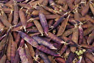 Aine Ni Flatharta 8 Aine Ni Flatharta 8