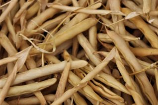 Aine Ni Flatharta 9 Aine Ni Flatharta 9