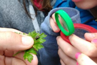 Calvin Jones 4 Calvin Jones 4