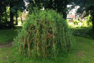 Elizabeth Murphy, Willow Sculpture 2 Elizabeth Murphy, Willow Sculpture 2