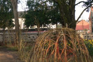 Elizabeth Murphy, Willow Sculpture Elizabeth Murphy, Willow Sculpture