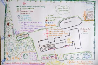 School Biodiversity Plan School Biodiversity Plan