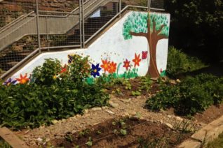 Jessica Mason Kilcrohane National School Garden Jessica Mason Kilcrohane National School Garden