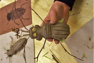 Karen Webster Investigating Insects Karen Webster Investigating Insects