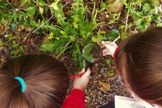 Karen Webster Exploring Outdoors Karen Webster Exploring Outdoors