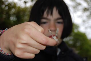 Michael Bell Molly Finds A Moth Michael Bell Molly Finds A Moth