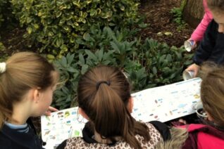 Nuala Madigan Creepy Crawlies Nuala Madigan Creepy Crawlies