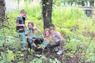 Nuala Madigan Biodiversity Walk Nuala Madigan Biodiversity Walk