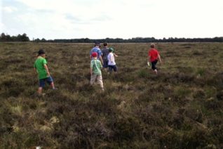 Nuala Madigan Bogwalk Nuala Madigan Bogwalk