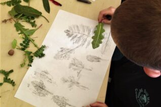 Orla Bates 5 Hedgerow Workshop Orla Bates 5 Hedgerow Workshop