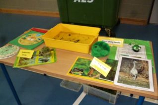 Paddy  Madden  Water Creatures Display