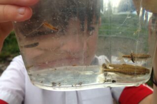 Stephanie O' Toole 3 Stephanie O' Toole 3