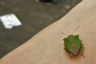 Una Halpin 4 Una Halpin 4