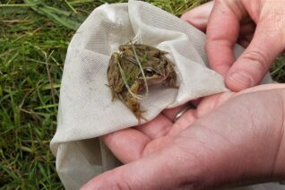 Una Halpin 2 Una Halpin 2