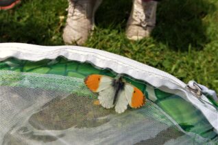 Una Halpin 5 Una Halpin 5