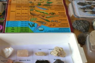 Una  Halpin  Rocks And  Fossils