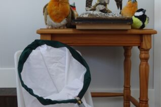 Tkenneally 2 Tkenneally 2