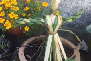 Rosemary Kavanagh 6 Rosemary Kavanagh 6