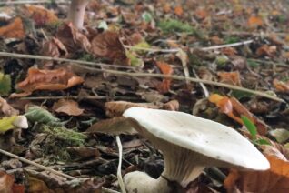 Michéal Coughlan 9 Michéal Coughlan 9