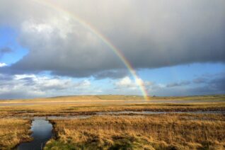 Michéal Coughlan 10 Michéal Coughlan 10