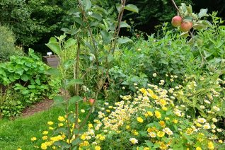 Annette Corkery 2 Annette Corkery 2