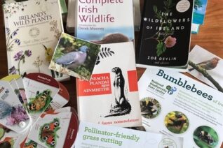 Catherine Twomey 3 Catherine Twomey 3