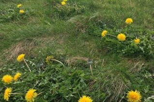 Catherine Twomey 4 Catherine Twomey 4