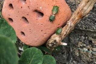 Catherine Twomey 6 Catherine Twomey 6