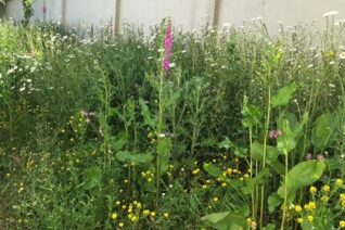 Catherine Twomey 7 Catherine Twomey 7