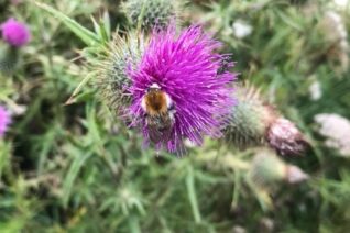 Catherine Twomey 8 Catherine Twomey 8