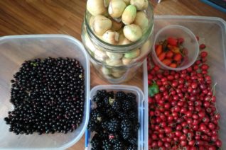 Deirdre Obrienc Givney 3 Deirdre Obrienc Givney 3