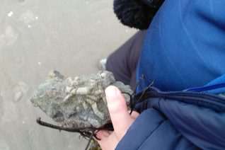 Dierdre Obrien 10 Dierdre Obrien 10