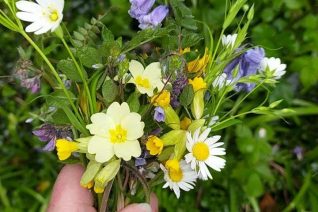 Dierdre Obrien 6 Dierdre Obrien 6