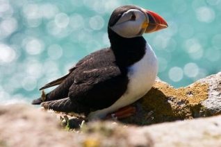 Dierdre Obrien 8 Dierdre Obrien 8