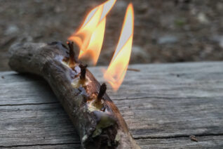 Ellie Mc Ewan 4 Ellie Mc Ewan 4