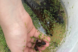 Ellie Mc Ewan 5 Ellie Mc Ewan 5