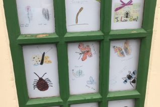 Geashill Ns Insect Phonebox Installation Nessa Darcy Geashill Ns Insect Phonebox Installation Nessa Darcy