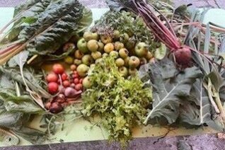 Gretaryan2 Gretaryan2