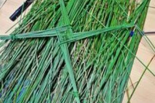 Helena Stackpoole 1 Helena Stackpoole 1